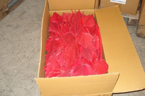 Palmspeer rot groß - 50,